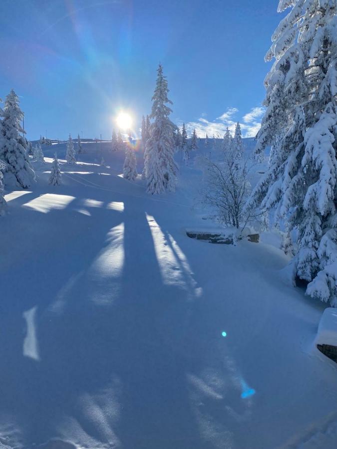 Willa Olimpik House Jahorina Zewnętrze zdjęcie