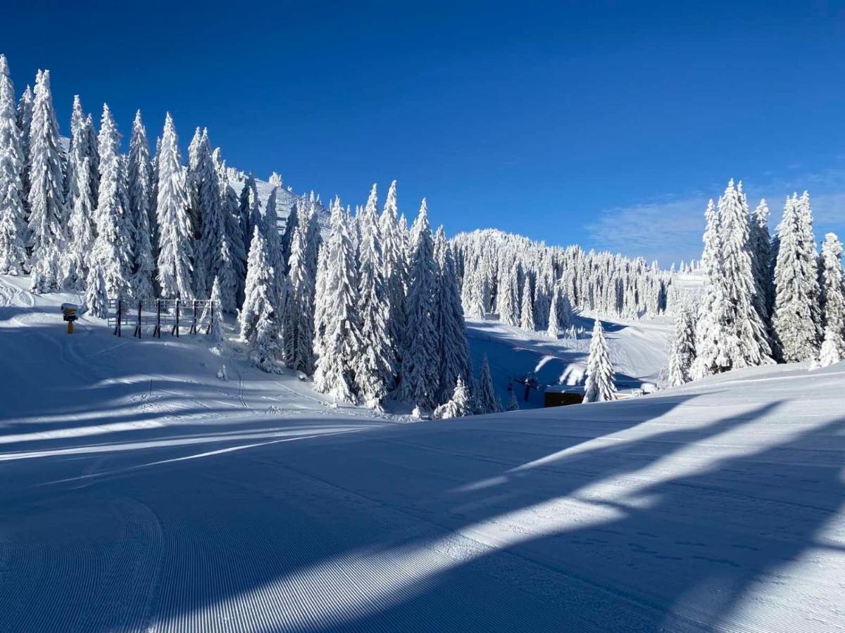 Willa Olimpik House Jahorina Zewnętrze zdjęcie